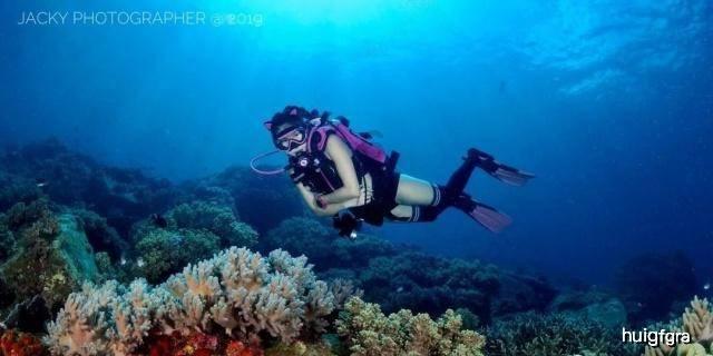 短肢领航鲸搁浅后获救，短肢领航鲸“海棠”脾气犟，身体恢复良好